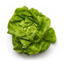 ENCIAM TROCADERO - UNITAT